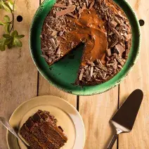 Fotografia em tons de verde em uma bancada de madeira clara com um suporte verde com o bolo de chocolate em cima. Ao lado, um prato com uma fatia do bolo e uma espátula para bolo.