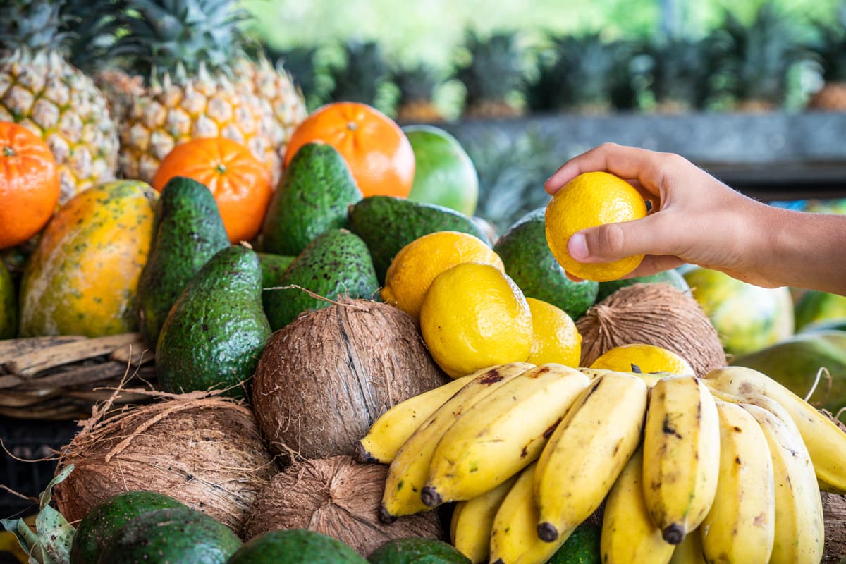 Capa - Frutas e Verduras de Dezembro: 20 dicas para o período das festas! Frutas e Verduras de Dezembro: Banana, coco, abacate e muito mais