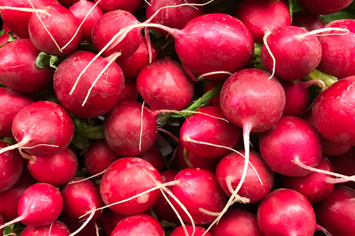 capa Os principais Benefícios do Rabanete e as Melhores Receitas Benefícios do Rabanete: Vários rabanetes juntos