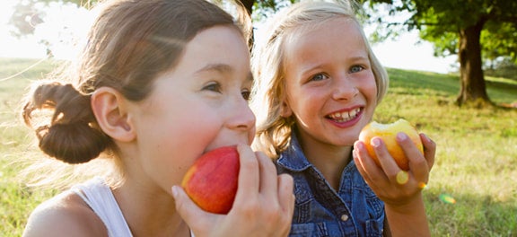 Capa Safra de Março: Quais as frutas, verduras e legumes do momento?