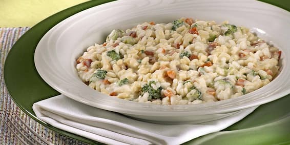 Risoto de Legumes Nutren Senior