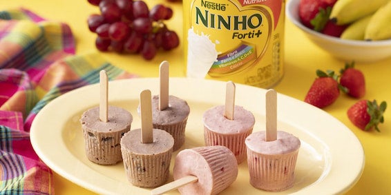 Sorvete Caseiro Frutado de Ninho