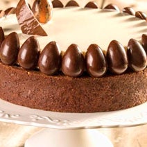 Entremet de Chocolate