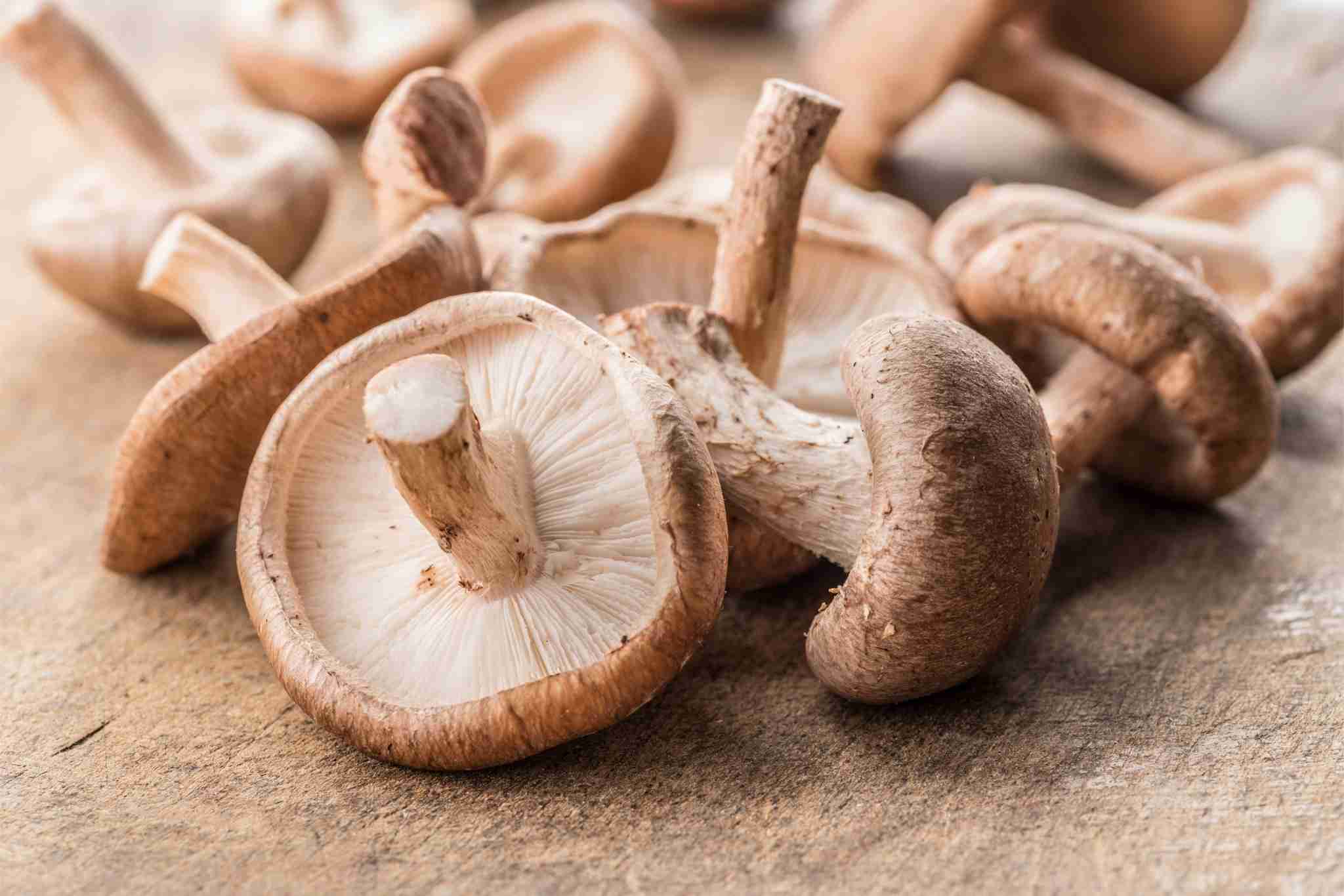 Imagem de cogumelos shitake.