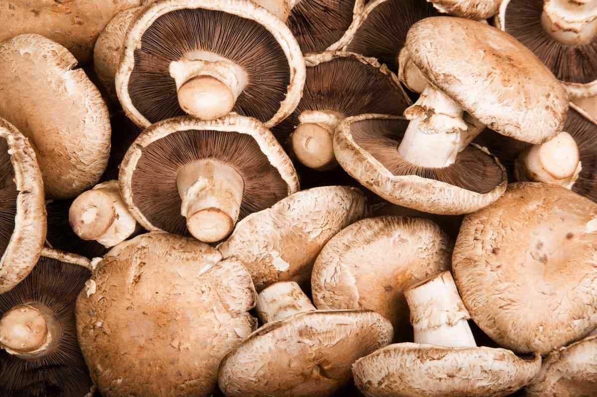 Imagem de cogumelos Portobello.