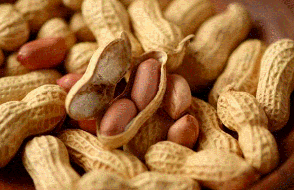 Amendoins com casca e sem casca.