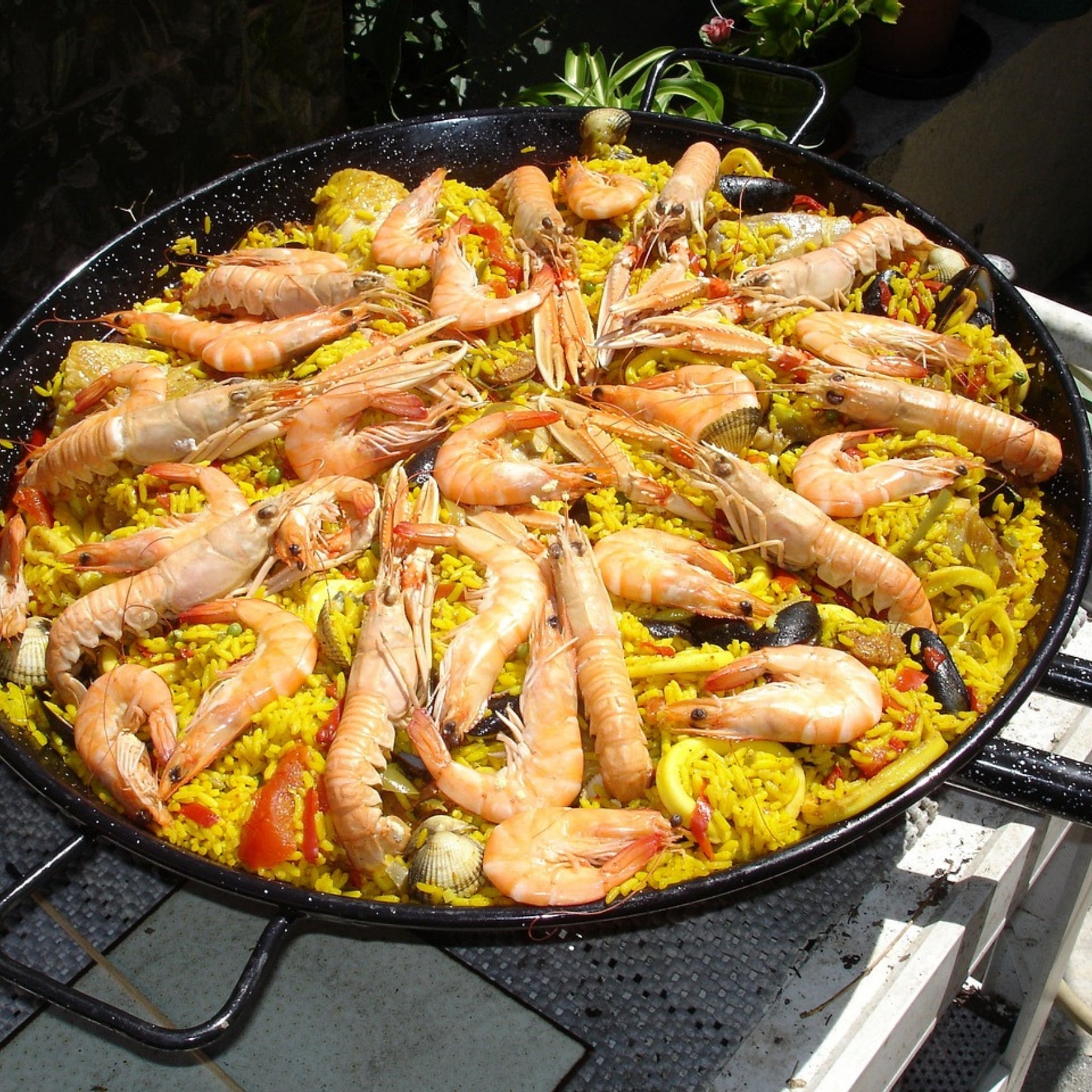 Receita de Paella com Frutos do Mar Original