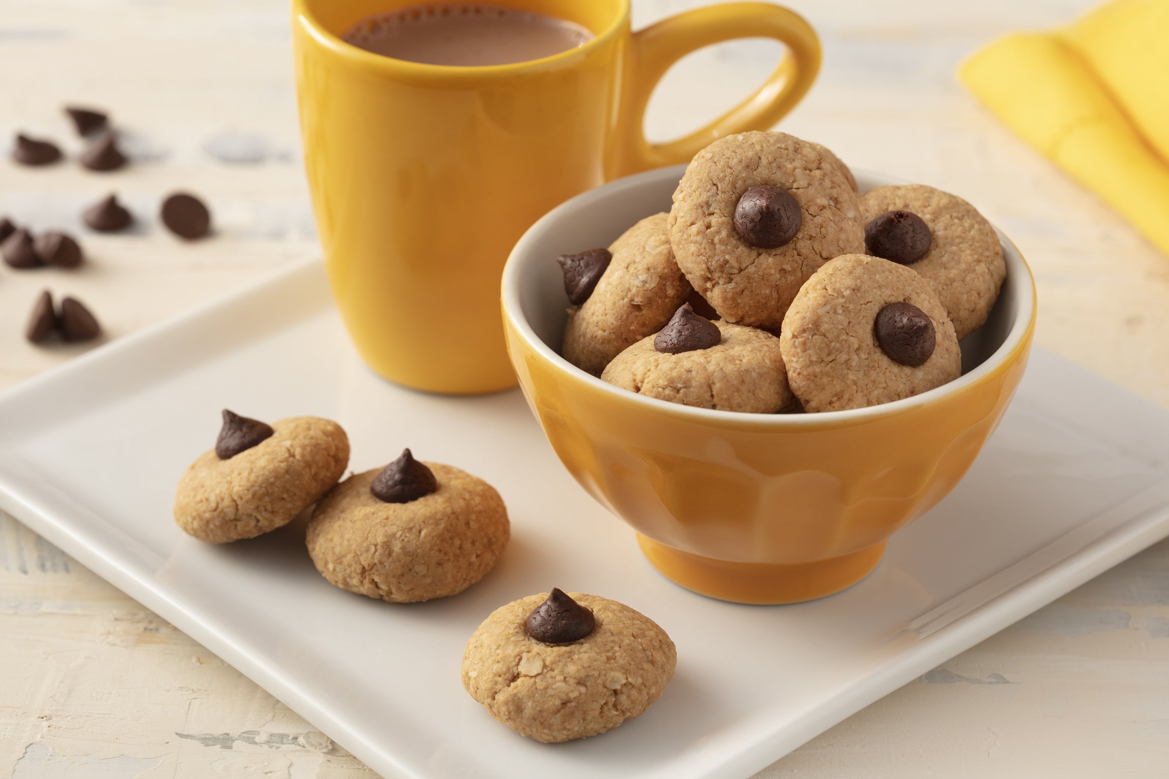 Biscoitos de Amendoim com Chocolate Amargo Garoto Receitas Nestlé