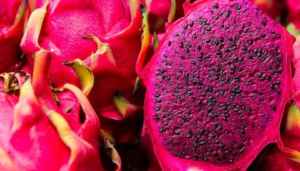 Benefícios da Pitaya: descubra tudo sobre a fruta do dragão