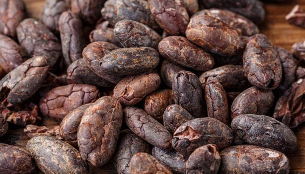 Dia do Cacau: Várias sementes de Cacau