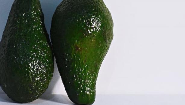 Dois abacates encostados em uma superfície branca