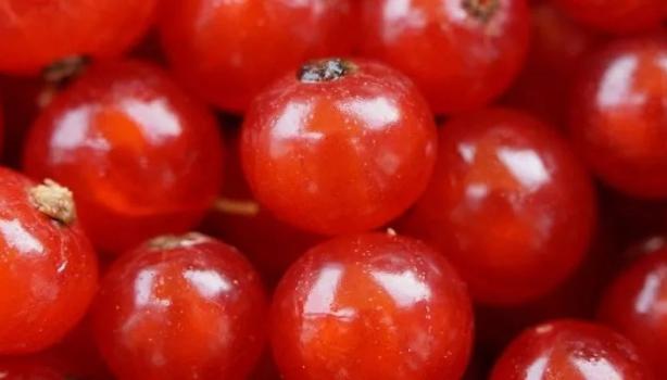 6 Benefícios da groselha na sua saúde