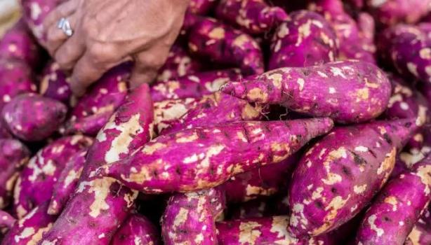7 alimentos ricos em fibras para fazer cocô todo dia