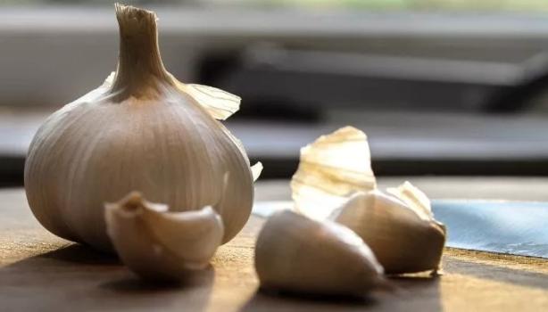 Alimentos para a cartilagem: quais são?