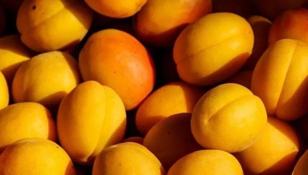 Alimentos sem amido: quais são?