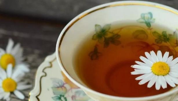 Chá para azia: receitas para a queimação no estômago