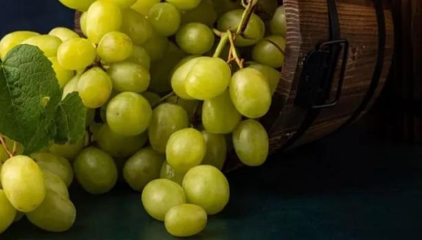 Uva verde: benefícios incríveis para sua saúde