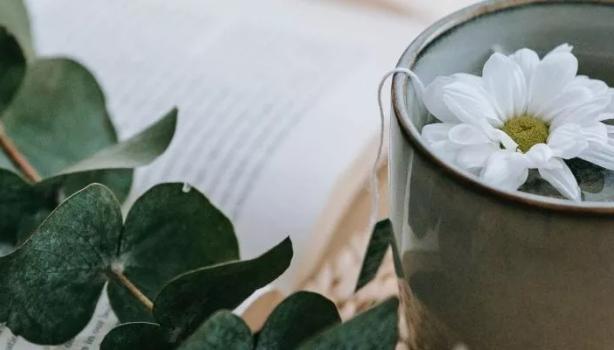 Chá anti-inflamatório: 12 receitas naturais