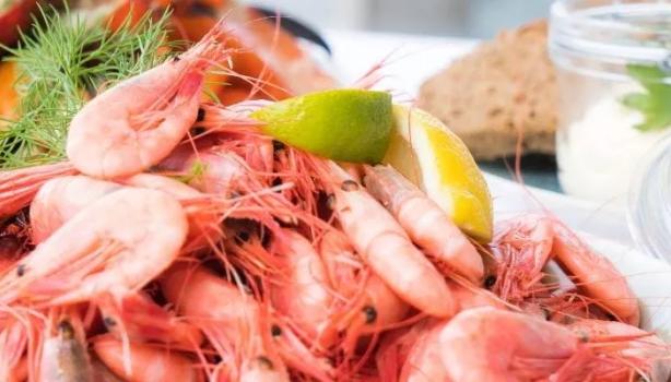 10 alimentos com fósforo para você incluir na sua dieta