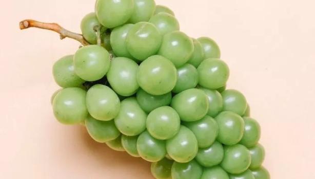 Alimentos que melhoram a saúde do fígado