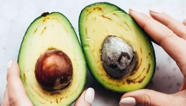 Alimentos ricos em lipídios: 10 opções para sua dieta