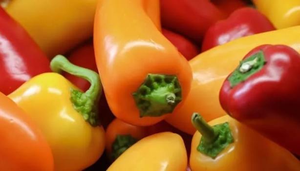 Conheça os 8 diferentes tipos de pimenta
