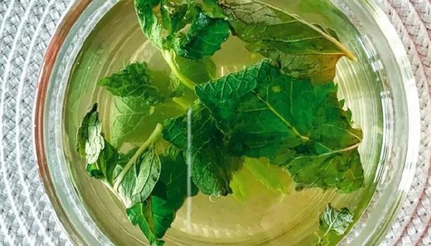 Dicas e benefícios: Chá seca barriga