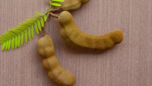 Tamarindo: Conheça benefícios dessa fruta exótica