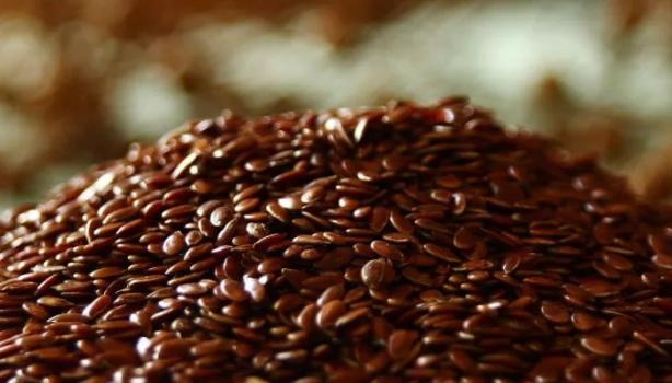 8 benefícios da linhaça para a saúde