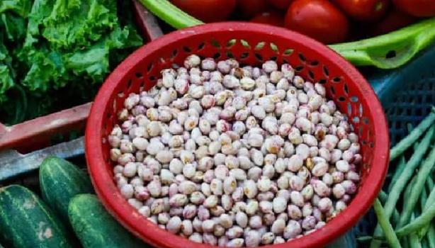 Alimentos ricos em ferro para a sua Dieta