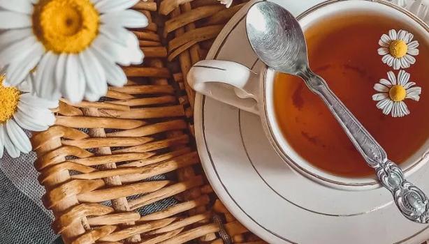 Chá de carqueja: para que serve e como preparar