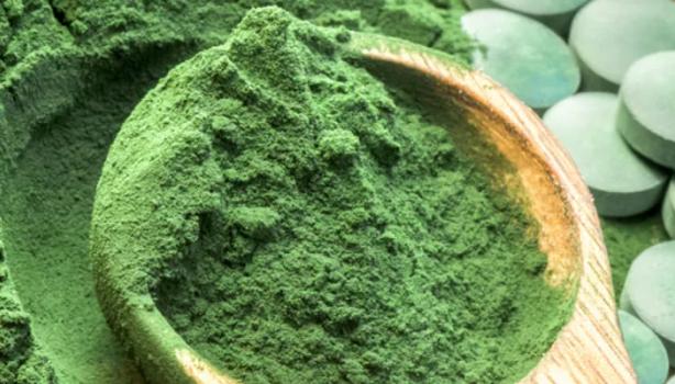 Chlorella e Spirulina: as algas que podem mudar sua saúde
