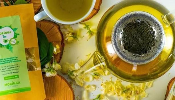 Moringa: para que serve e quais os benefícios dessa planta?