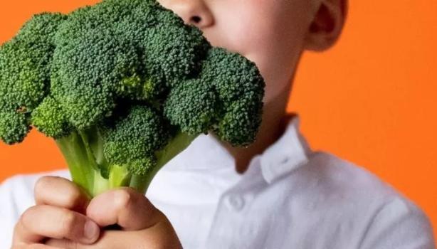Receitas com alimentos Ricos em Vitaminas