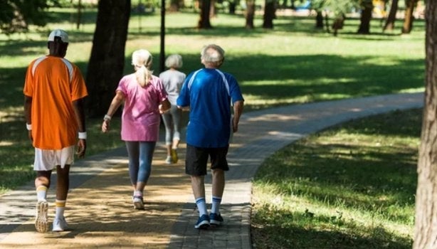 Grupo de idosos caminhando juntos em um parque arborizado, em uma trilha pavimentada em dia ensolarado.