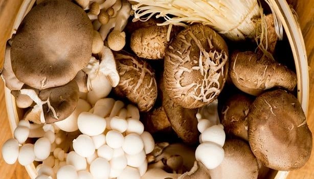 Em uma mesa de madeira, há uma cesta de palha com diversos tipos de cogumelos comestíveis.