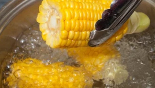 Espiga de milho sendo retirada da água fervente com pegador, mostrando o cozimento do milho.