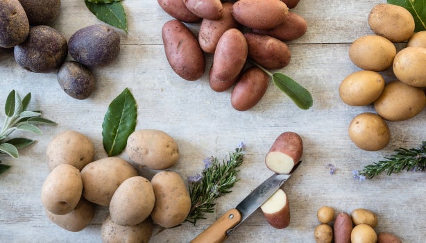 Seleção de batatas vermelhas, amarelas e roxas acompanhadas de ervas aromáticas sobre superfície de madeira rústica.