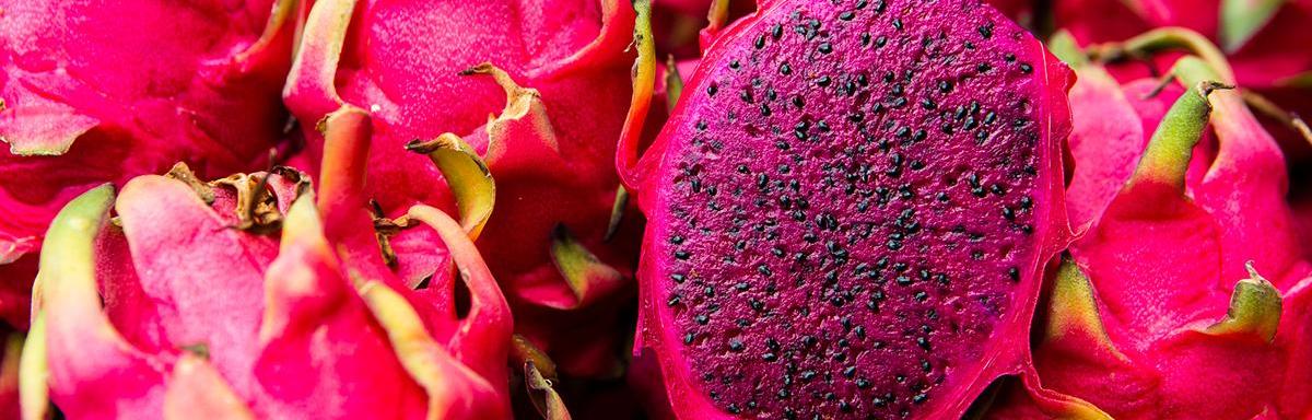 Benefícios da Pitaya: descubra tudo sobre a fruta do dragão