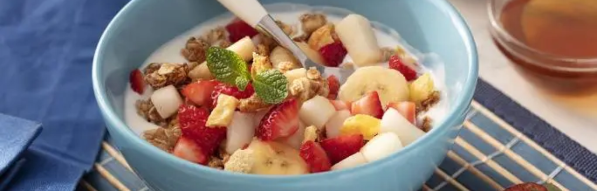 Receitas saudáveis para o dia a dia 