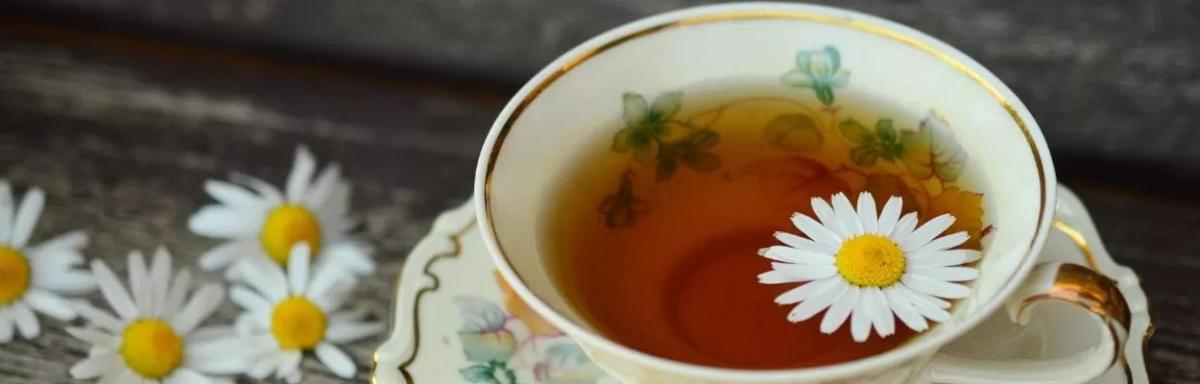 Chá para azia: receitas para a queimação no estômago
