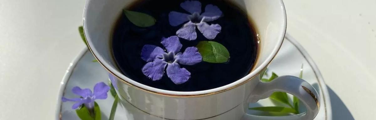 Chá para estimular o cérebro: 6 chás incríveis