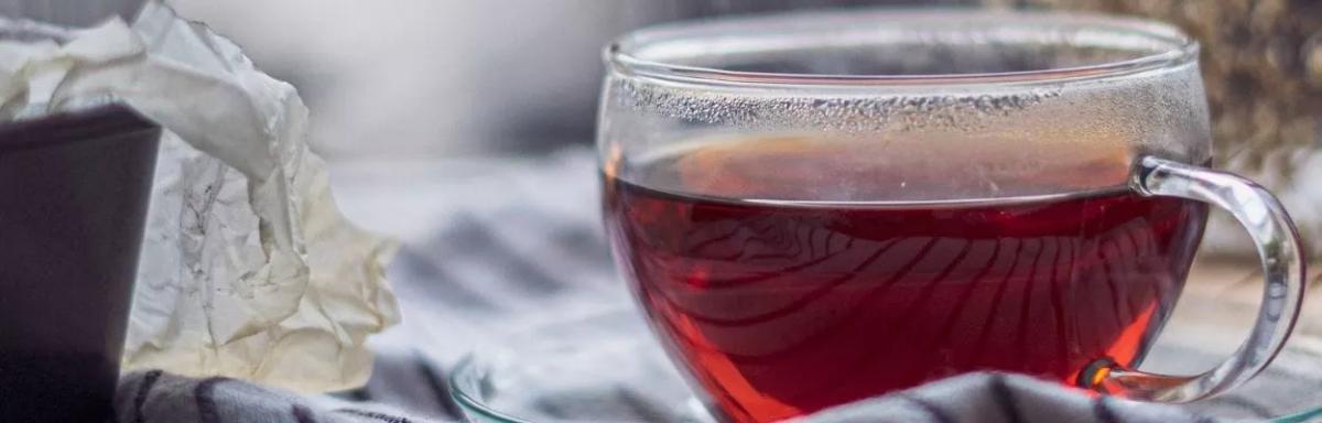 Chá para o pâncreas: veja 7 opções