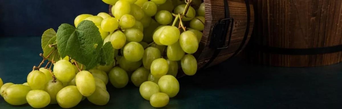 Uva verde: benefícios incríveis para sua saúde