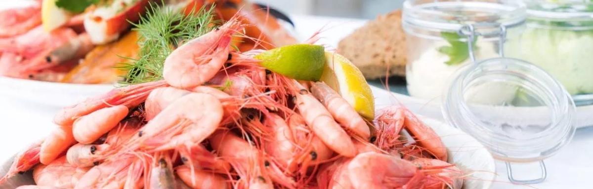 10 alimentos com fósforo para você incluir na sua dieta