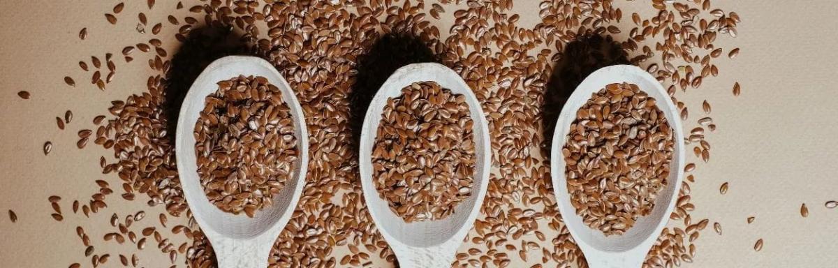 15 alimentos para fortalecer os ossos