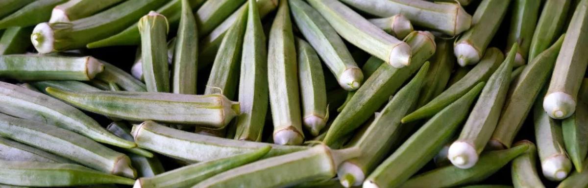 7 benefícios do quiabo para saúde