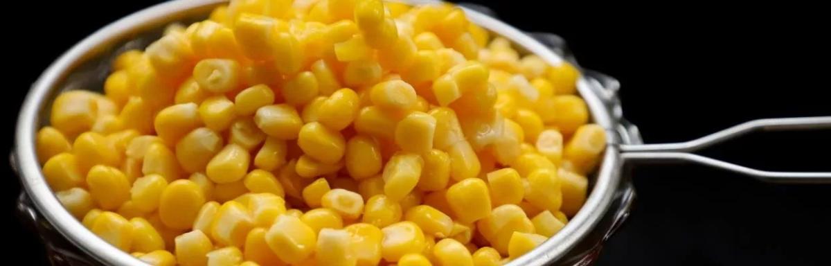 Alimentos Ricos em Amido e seus Benefícios