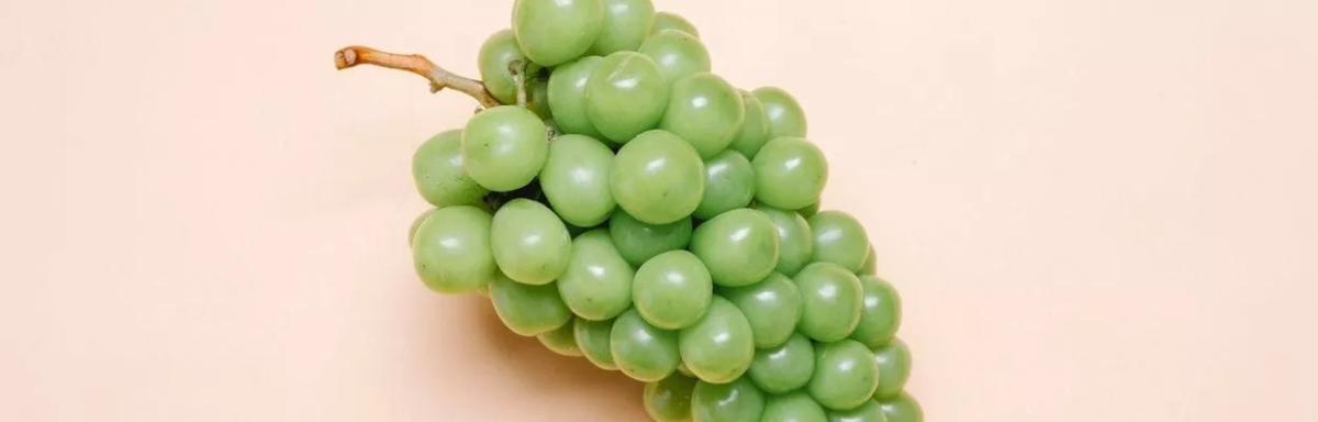 Alimentos que melhoram a saúde do fígado