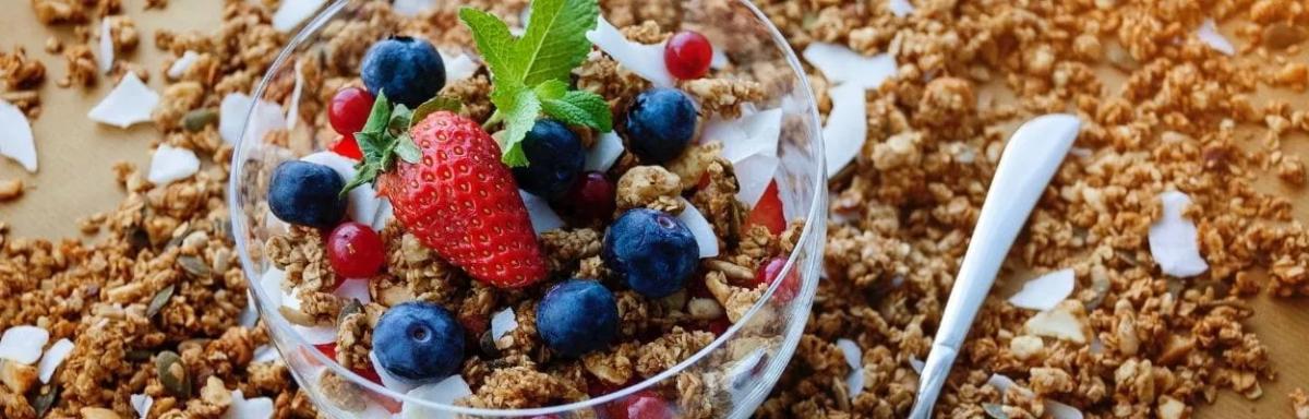 Benefícios da aveia: intestino e flora intestinal